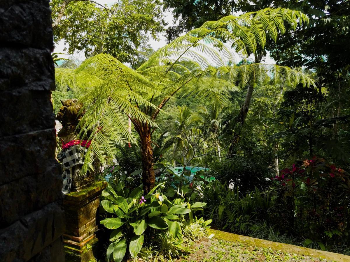 Angsoka Bungalow Ubud Exteriör bild