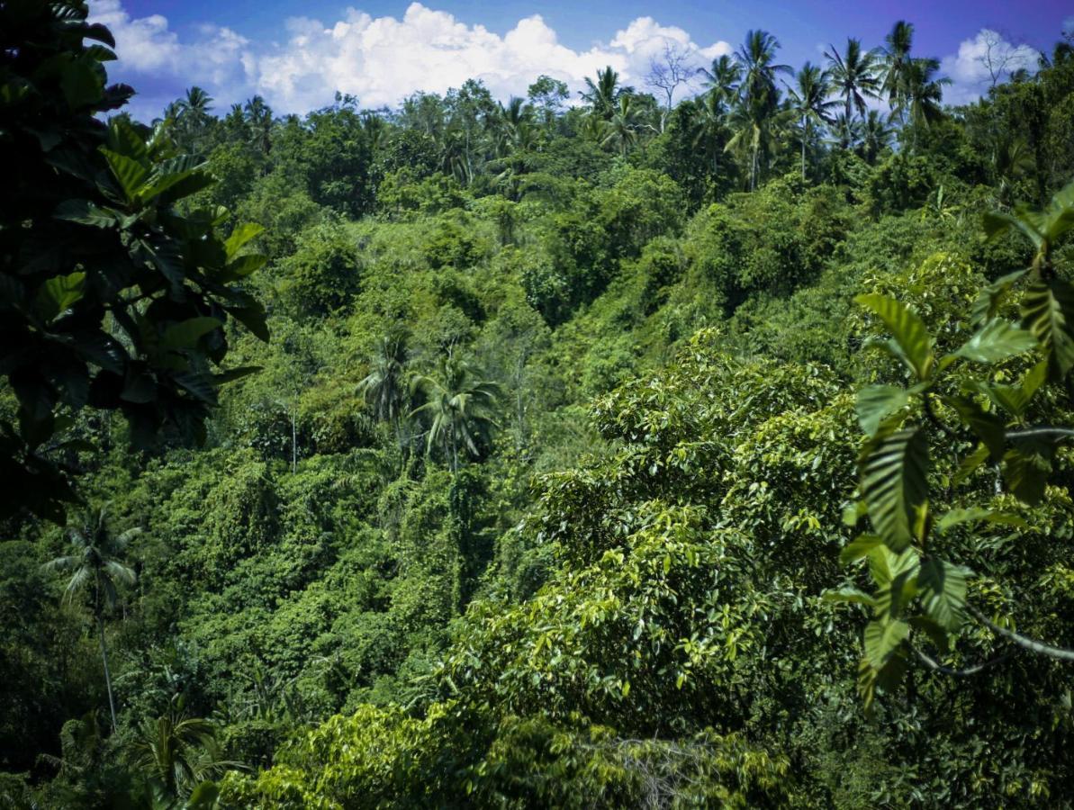 Angsoka Bungalow Ubud Exteriör bild