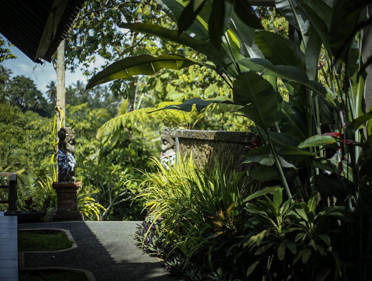 Angsoka Bungalow Ubud Exteriör bild