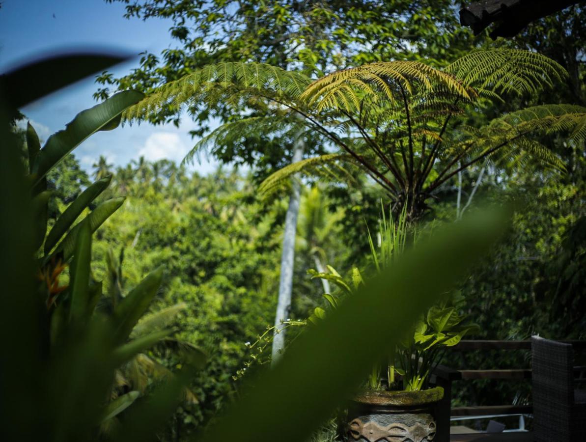 Angsoka Bungalow Ubud Exteriör bild
