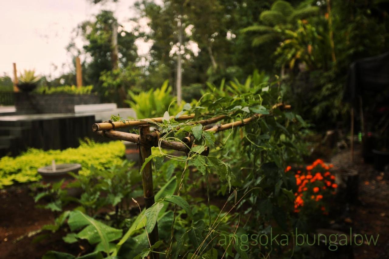 Angsoka Bungalow Ubud Exteriör bild